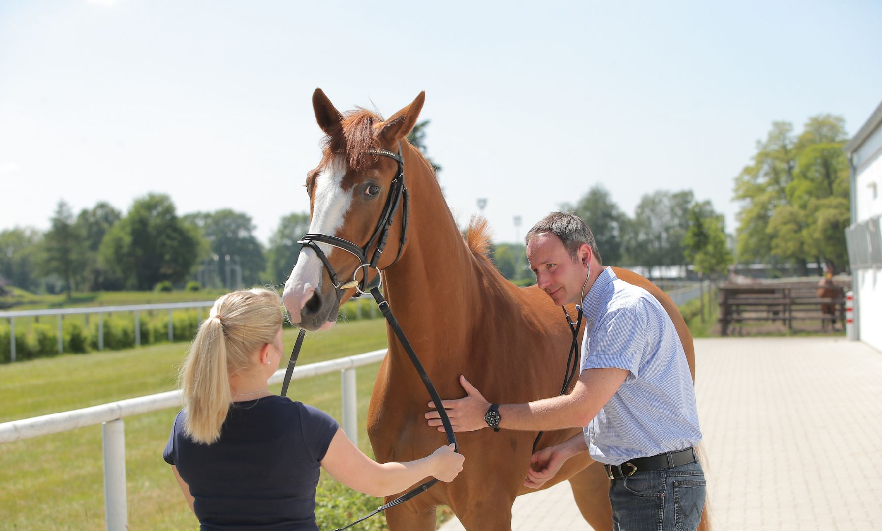 Two Barns at Tampa Bay Downs Quarantined Following Equine Herpesvirus Case
