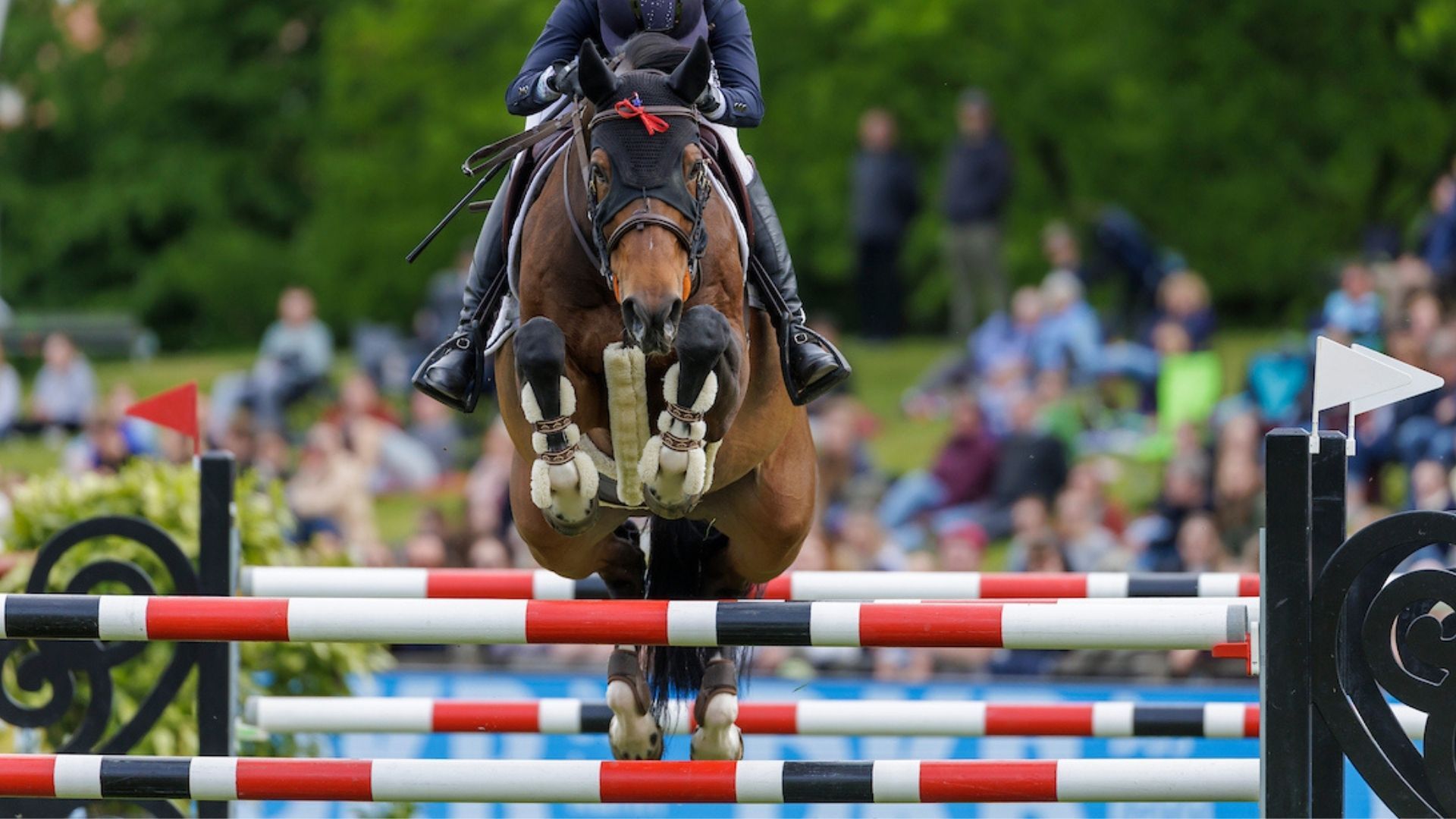 Al Shira’aa bringt den Nations Cup nach Lissabon zurück