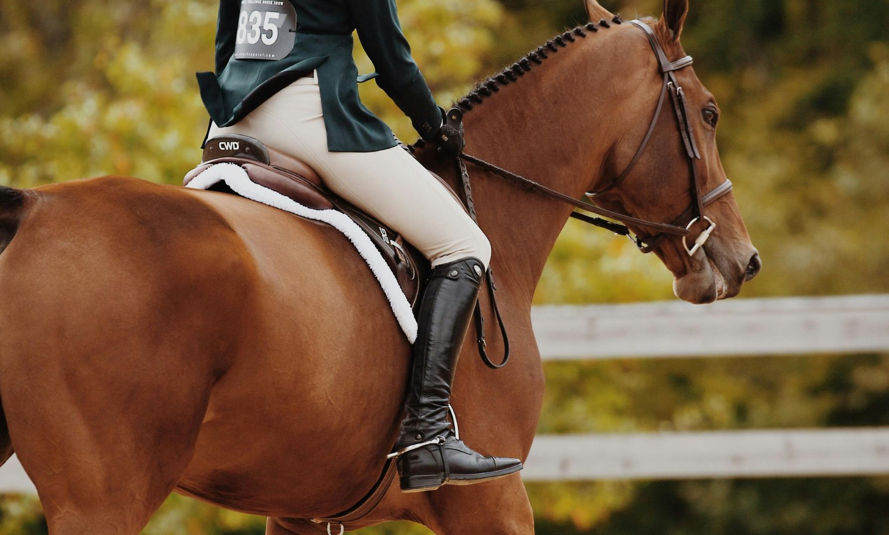 Taylor Cawley Shines in PBIA North American Junior Equitation Championships