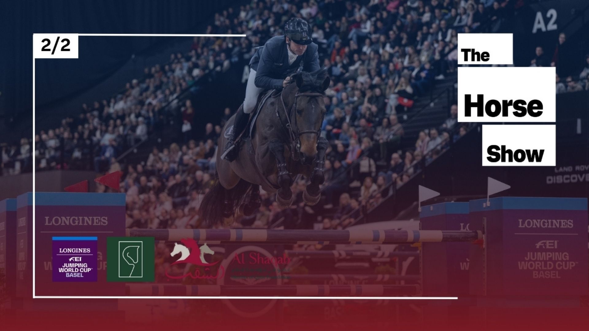 THE HORSE SHOW: The hackamore!