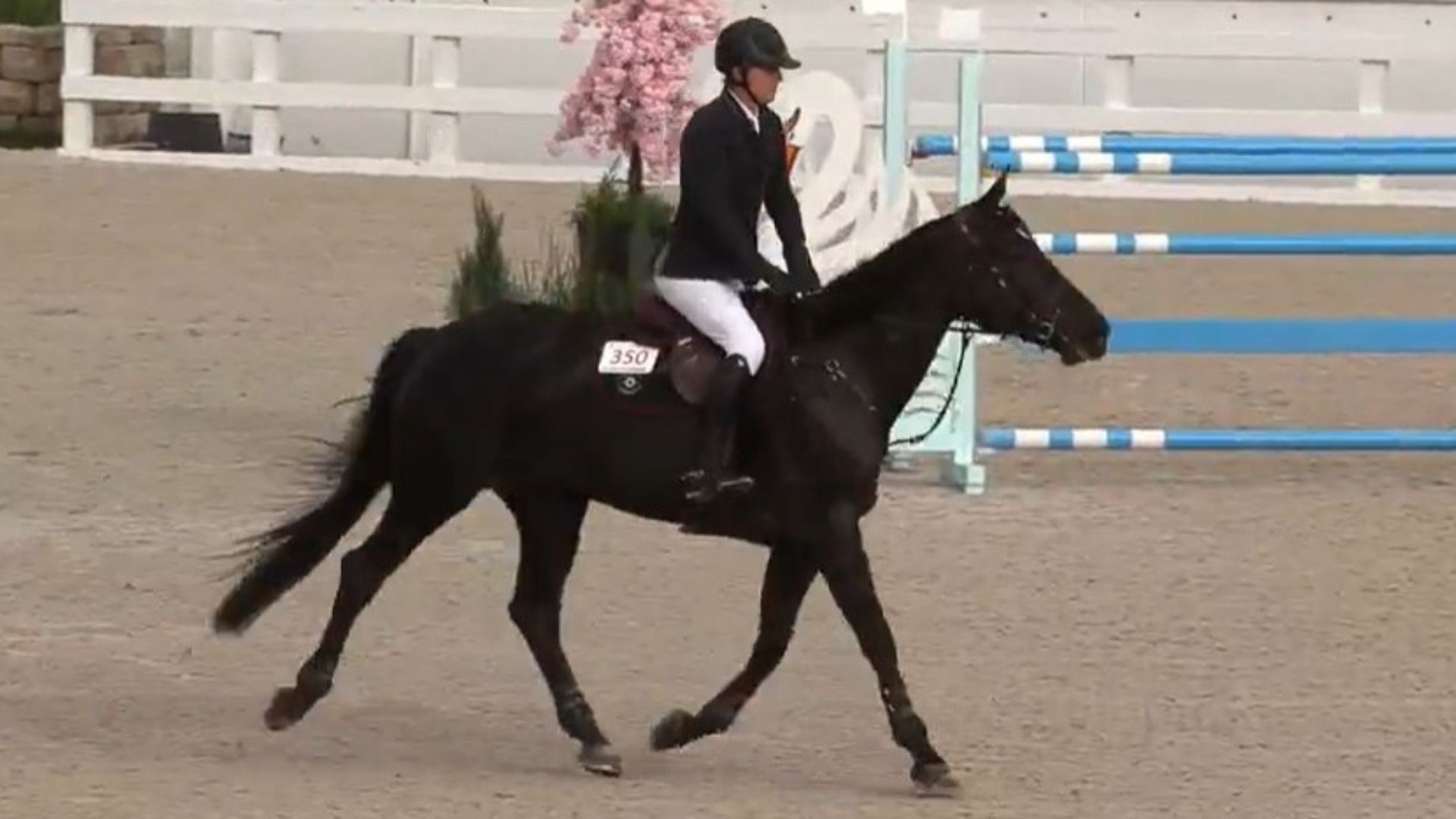 Sean Jobin Wins the $62,500 Grand Prix Qualifier in Grande Style at WEC Ocala