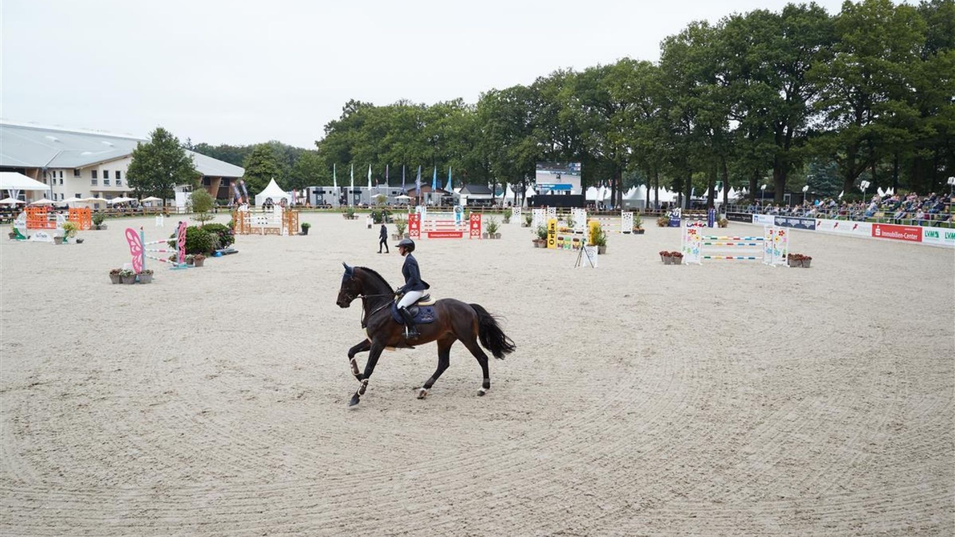 Belgien gewinnt EM-Teamwertung der Jungen Reiter