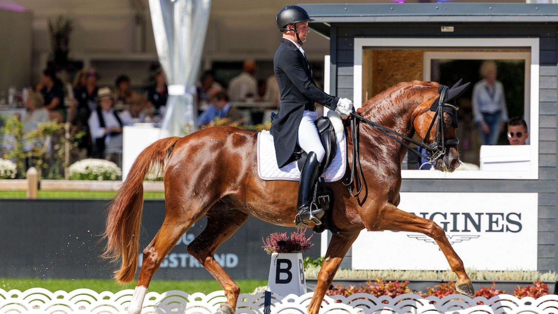 Luxemburgs Reiter im Rennen um den Titel "Sportler des Jahres"
