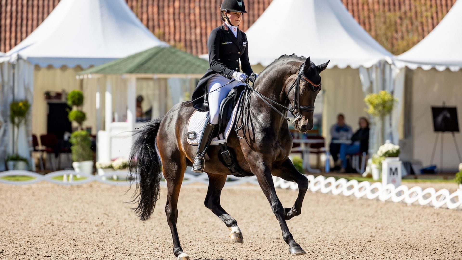 Sophie Reef nimmt Abschied von Charming Lady