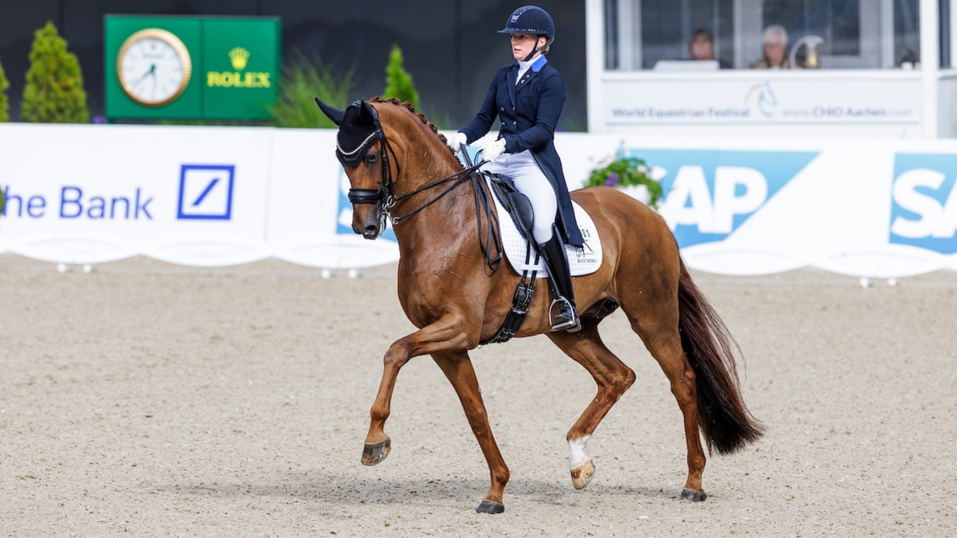 Blue Hors Znickers wechselt in schwedischen Reitstall