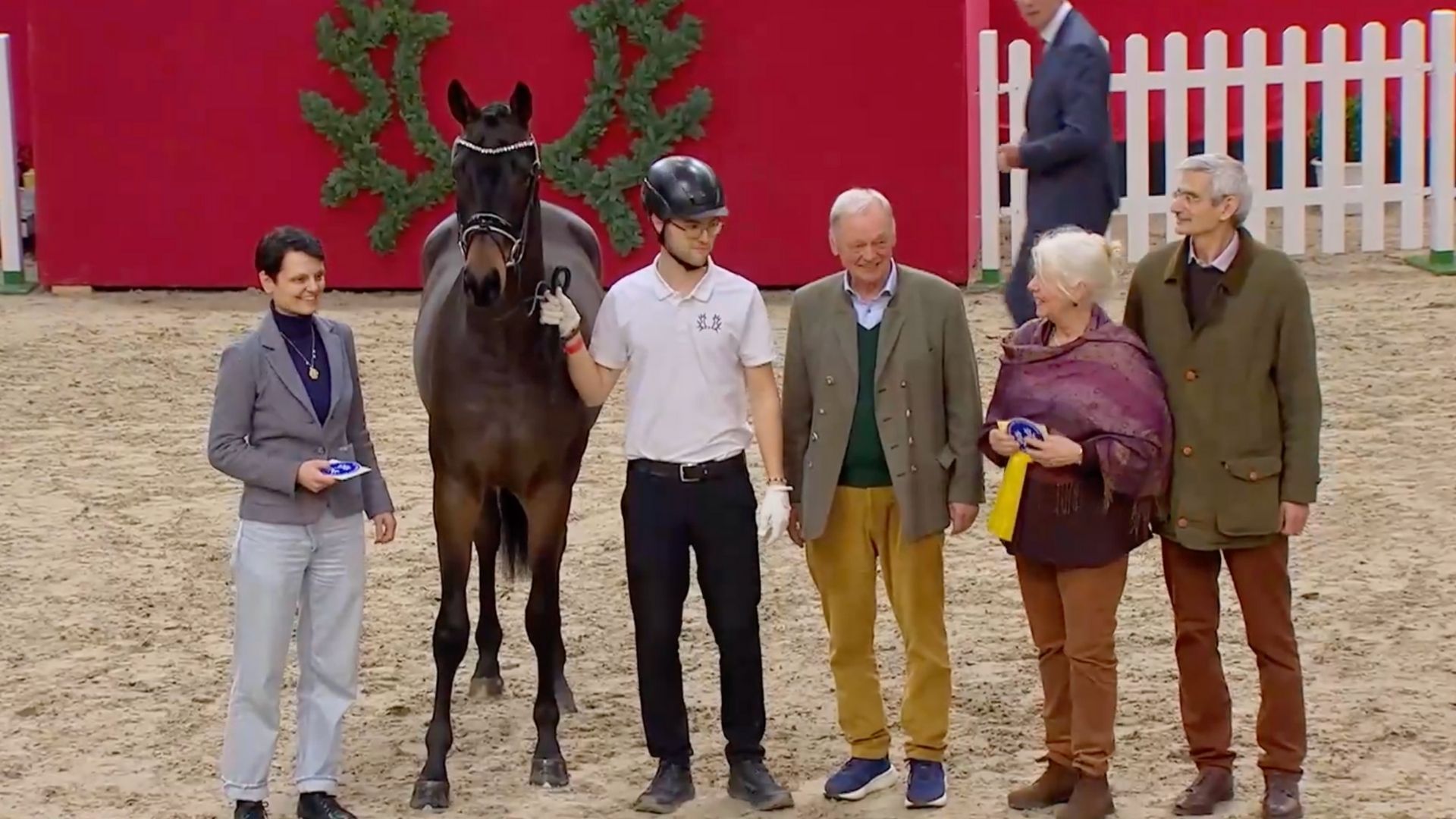 Die Trakehner Prämienhengste 2025 stehen fest!