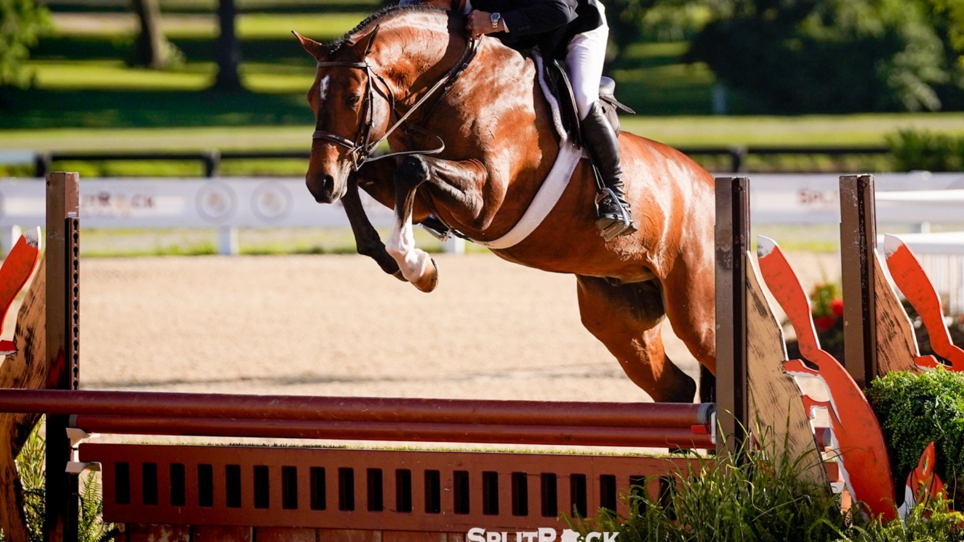 T.O.S. Travers City Open Sales feiert erfolgreiche Premiere