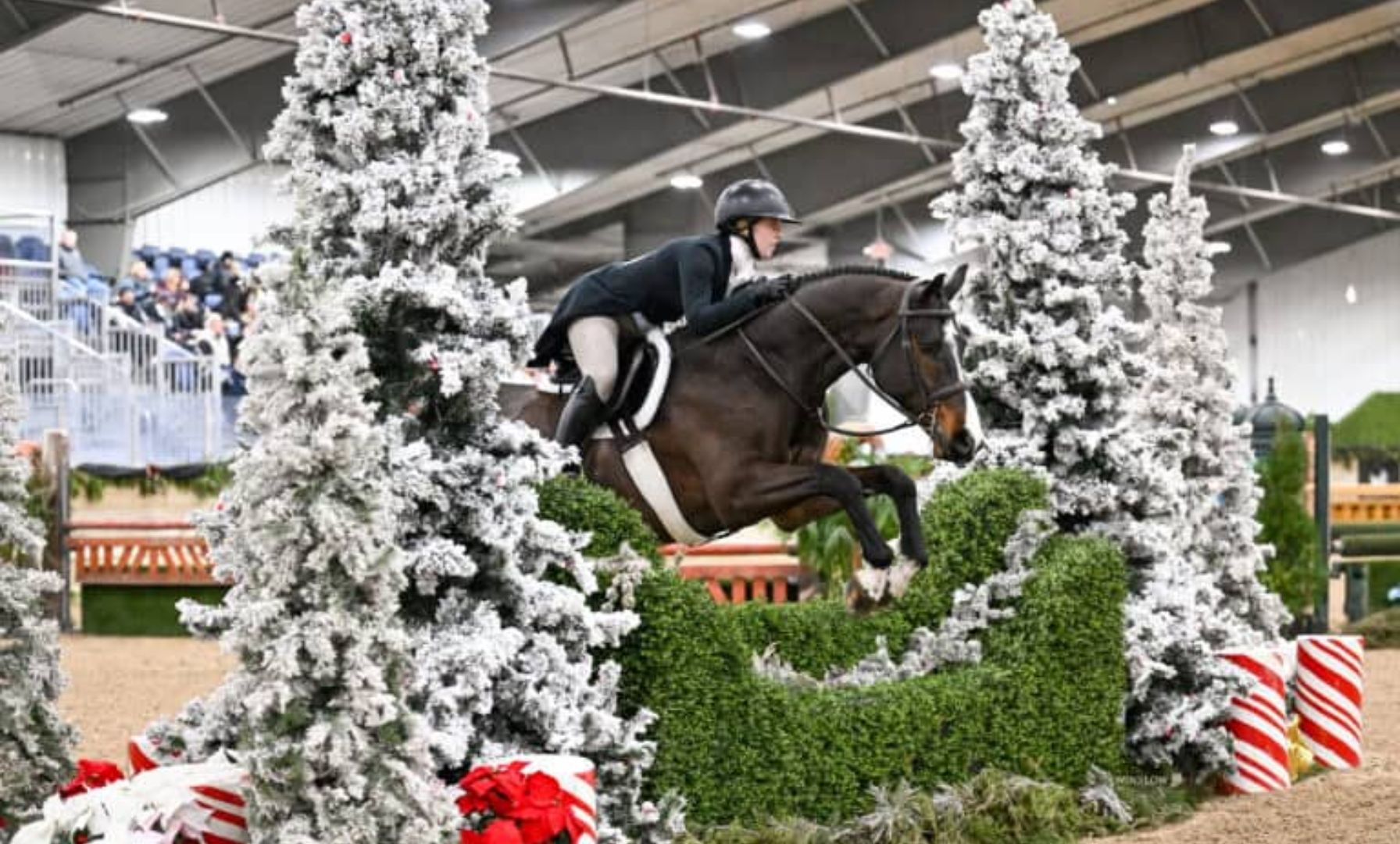 Nolte and Blue Jay Way Top $12,500 USHJA National Non-Pro Hunt-N-Go Derby