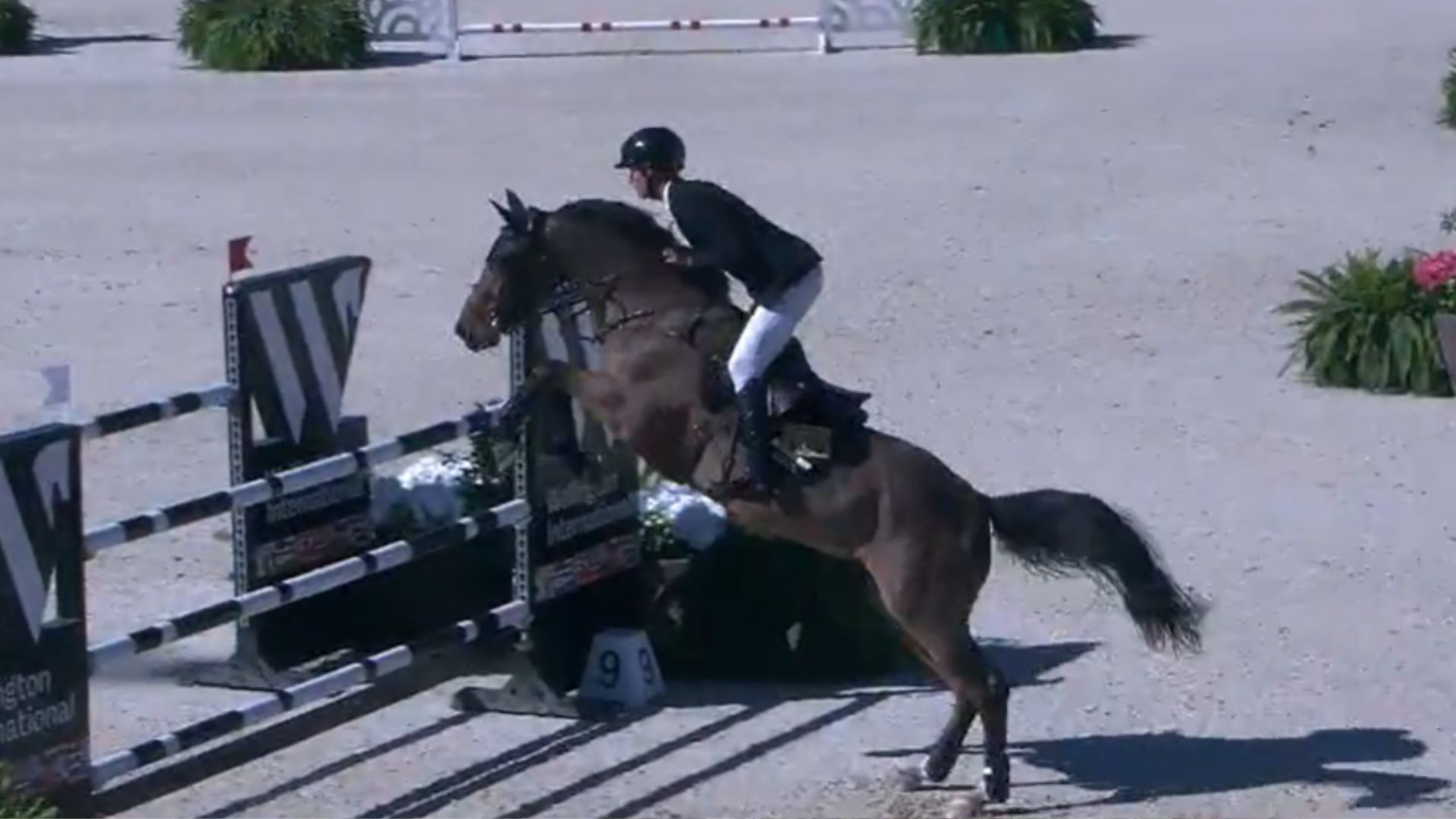 Der 17-jährige Tony Stormanns auf Rang zwei beim WEF Challenge Cup in Wellington