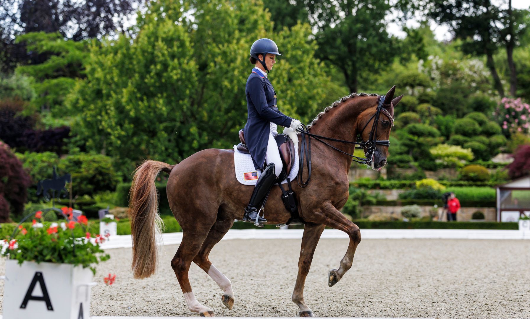 Adrienne Lyle Tops Dressage Prize Money at Global Festival