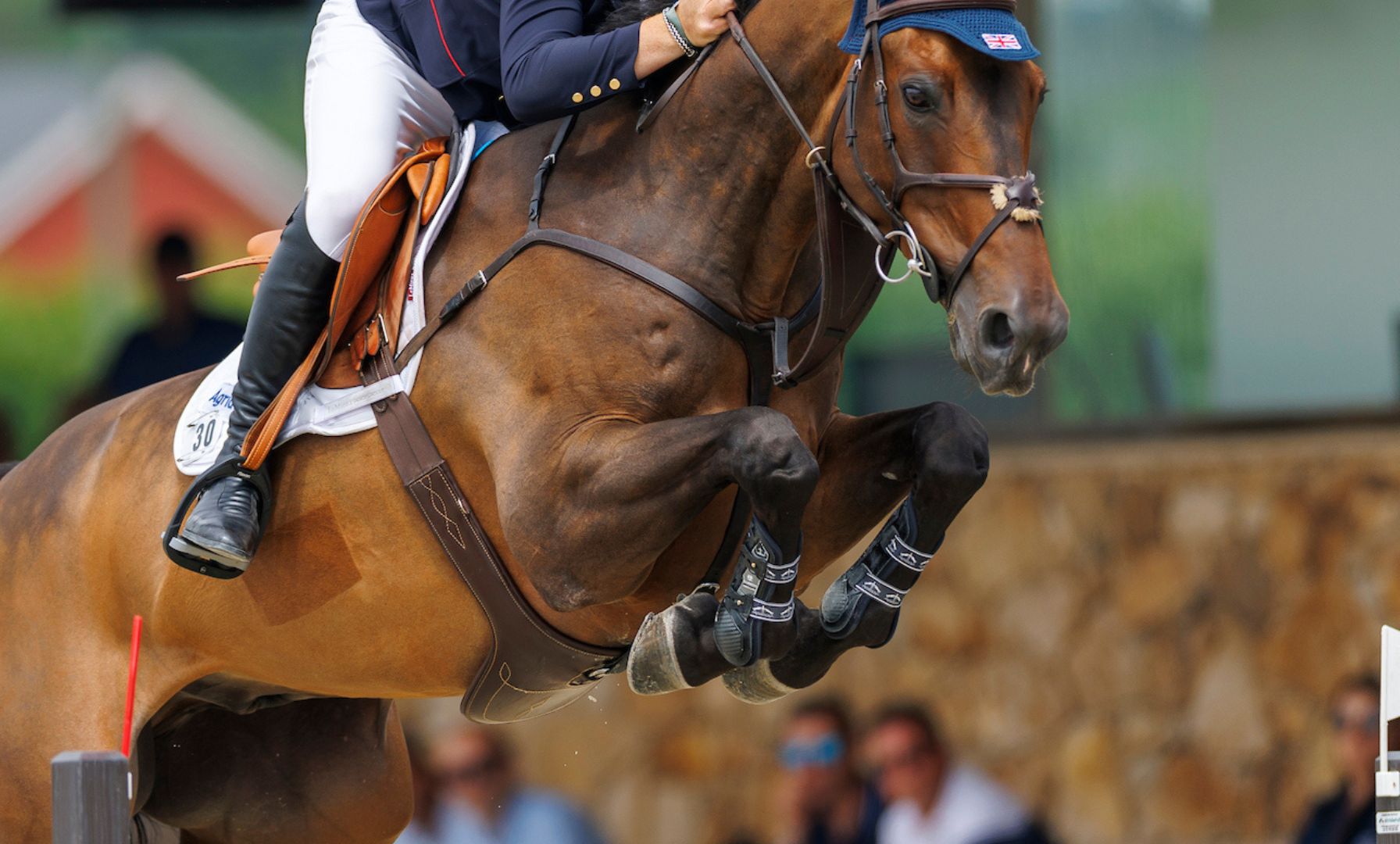 Kady Abrahamson Secures First Grand Prix Win Aboard Rhumba JW-Van De Moerhoeve