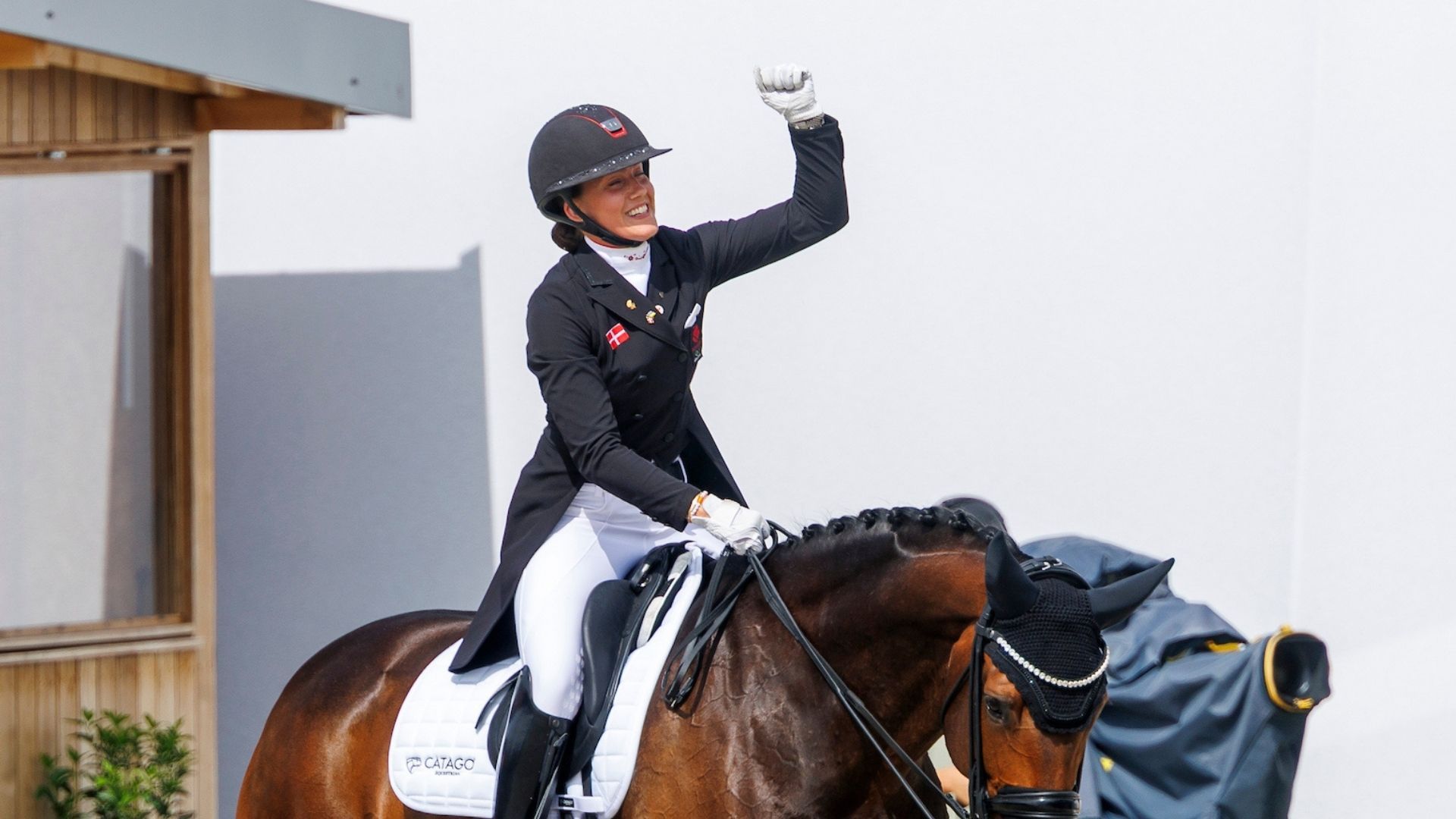 Franko Unik - neues Pferd für Cathrine Laudrup Dufour