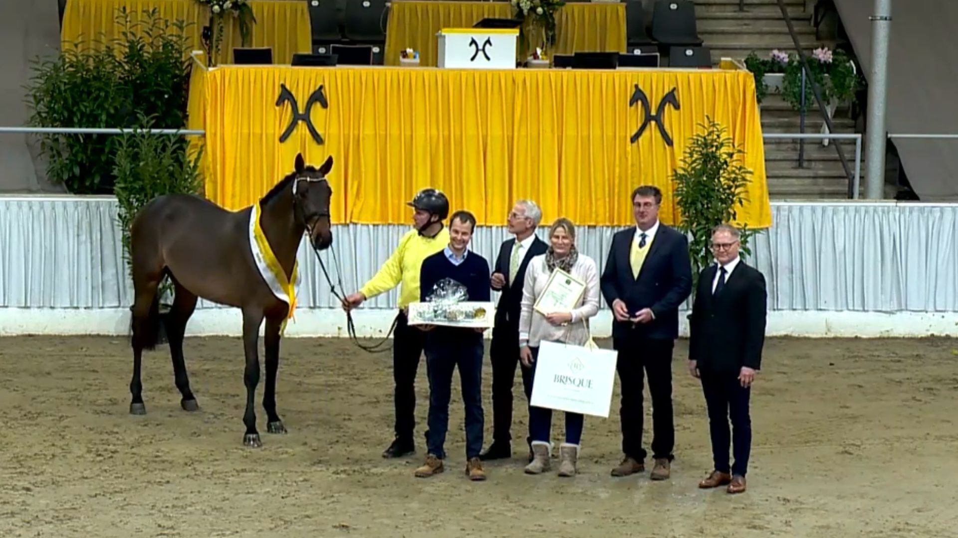 Die Prämienhengste der Hannoveraner Körung - Springen stehen fest!