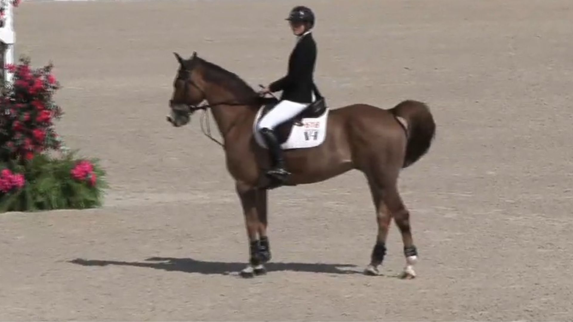 Vanessa Hood Takes Top Two Spots in 5* Class at Longines Jumping World Cup™ Ocala 