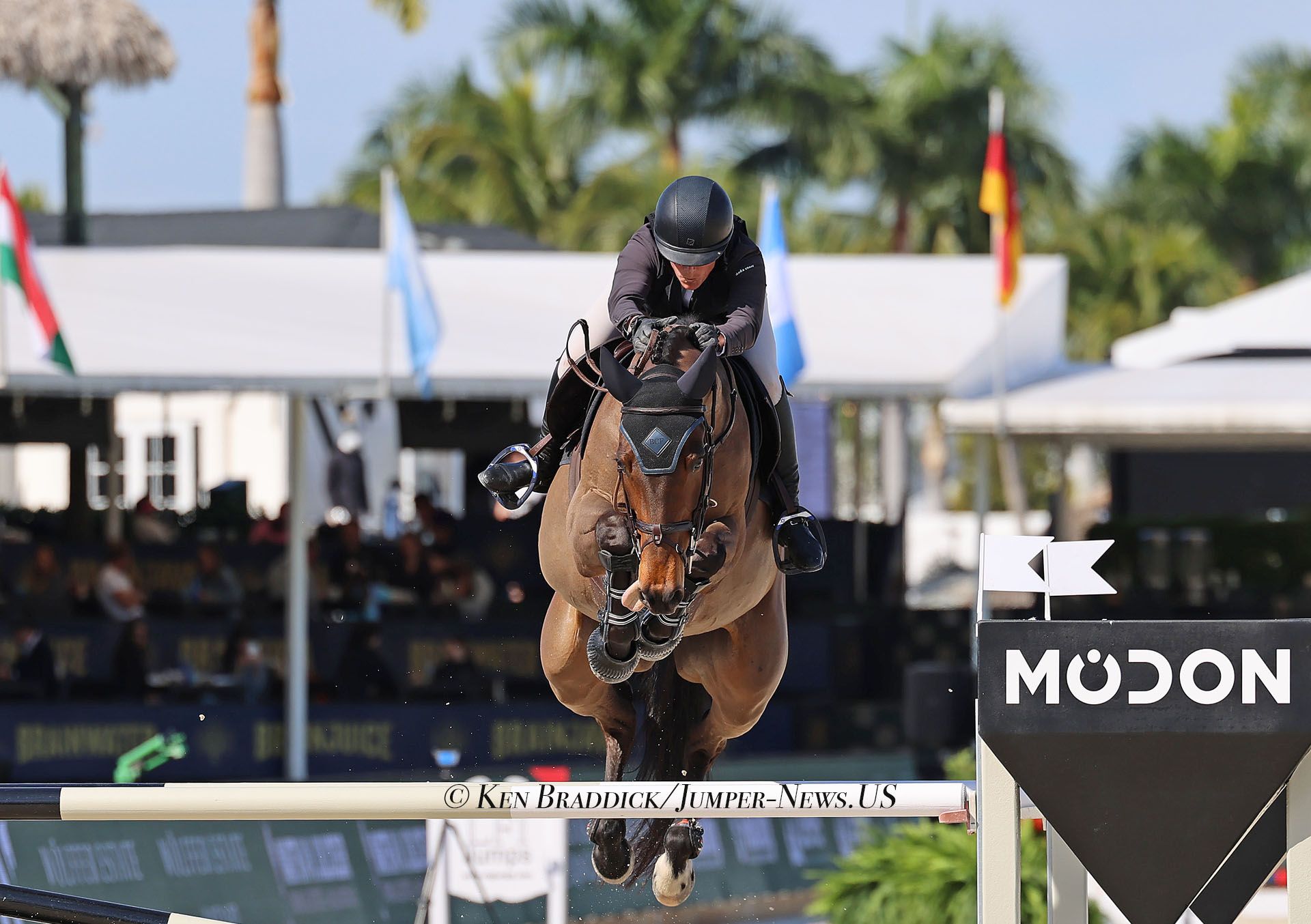 Israel's Sydney Shulman Desiderio Wins Wellington Open Jumper