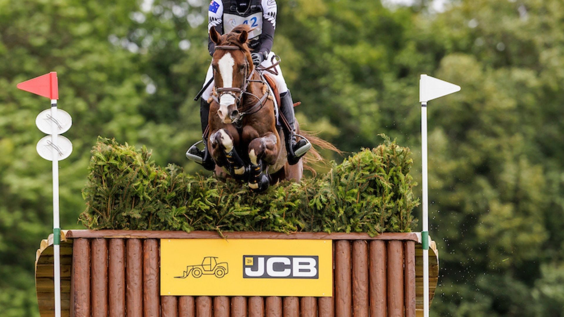 Tim Price dominiert den CCI5*-L in Pau
