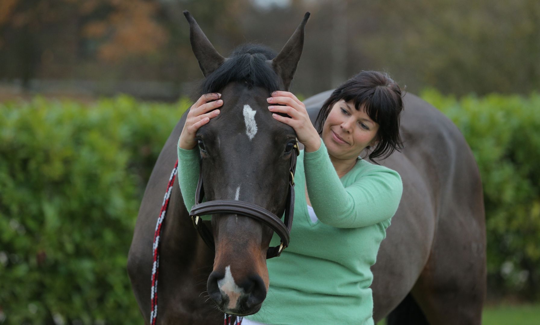 Confirmed Case of Strangles in Michigan Results in Euthanasia of Young Colt