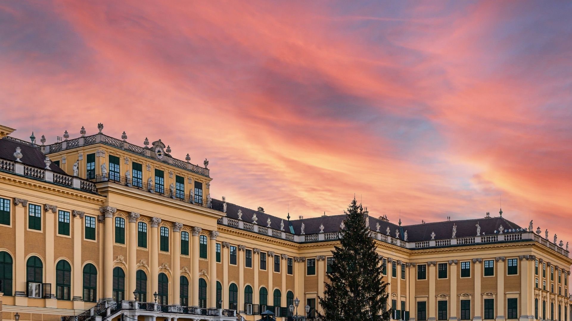 CSI5* und CSI1* vor Schloss Schönbrunn - das Starterfeld