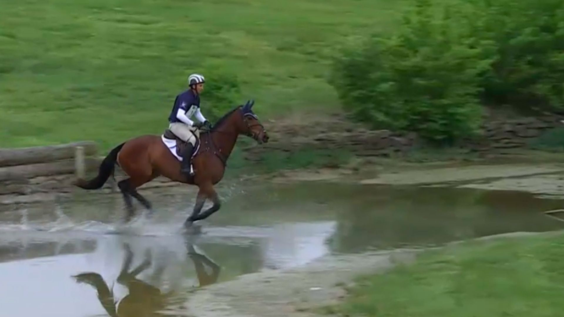 FEI Tribunal imposes 20-month ban on Andrew McConnon