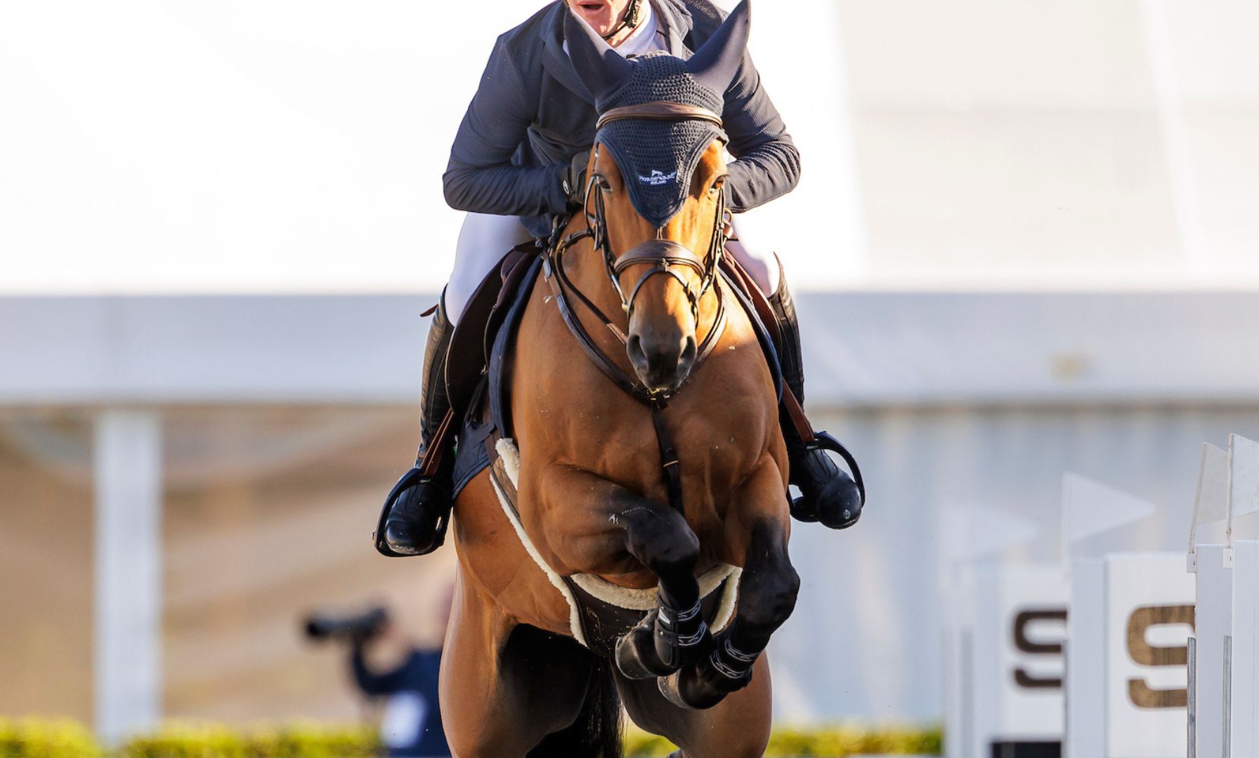 Brendan Wise and Pilotara G Crowned Champions