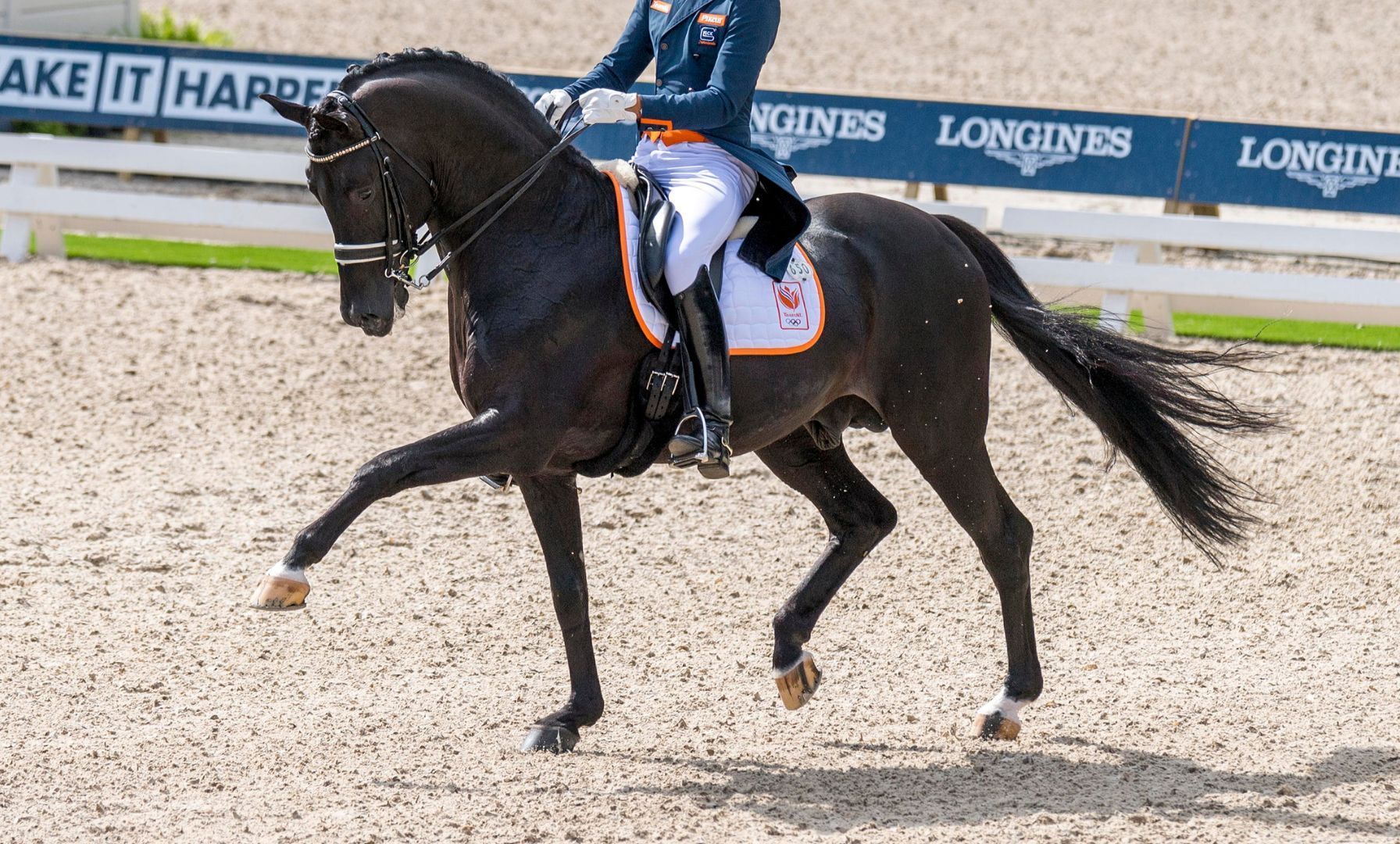 Glock horses transferred to Austria
