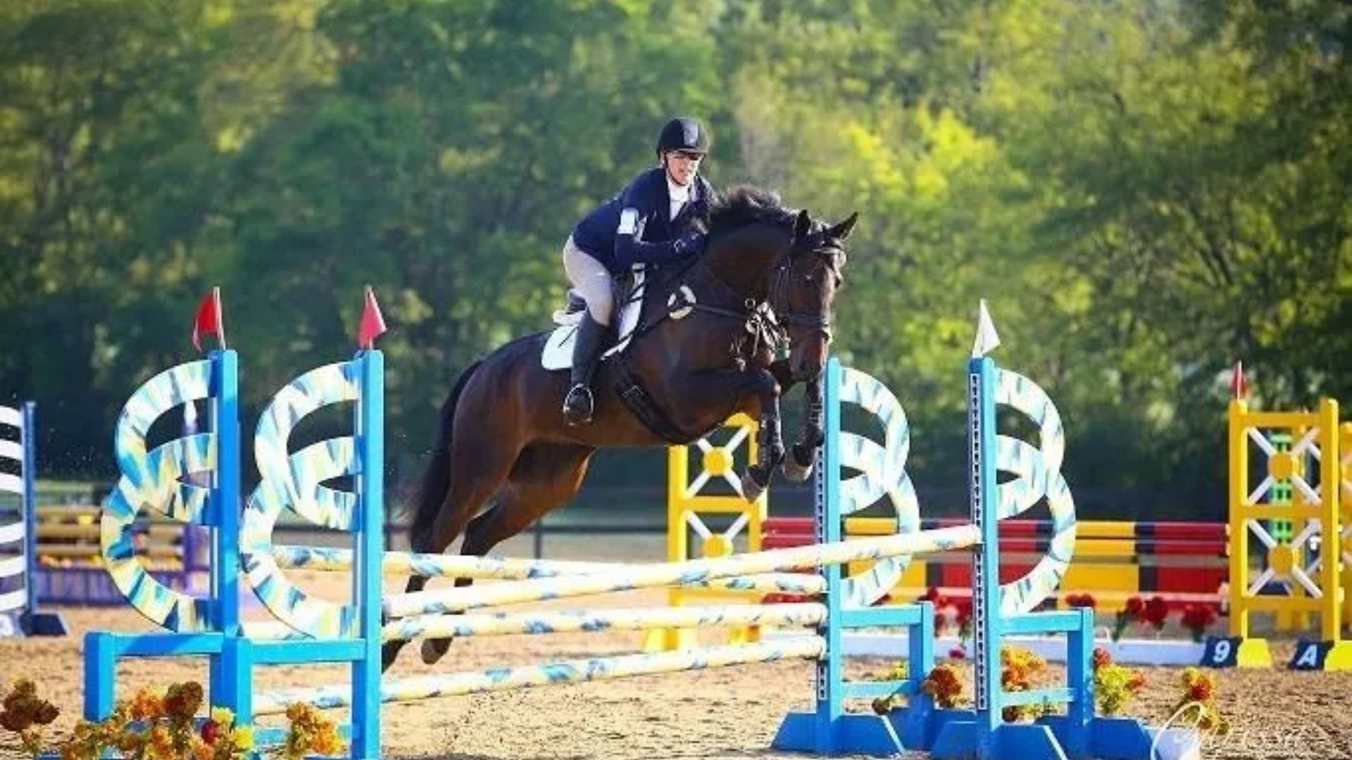 Organization Behind Kentucky Three-Day Event Names New CEO from Within