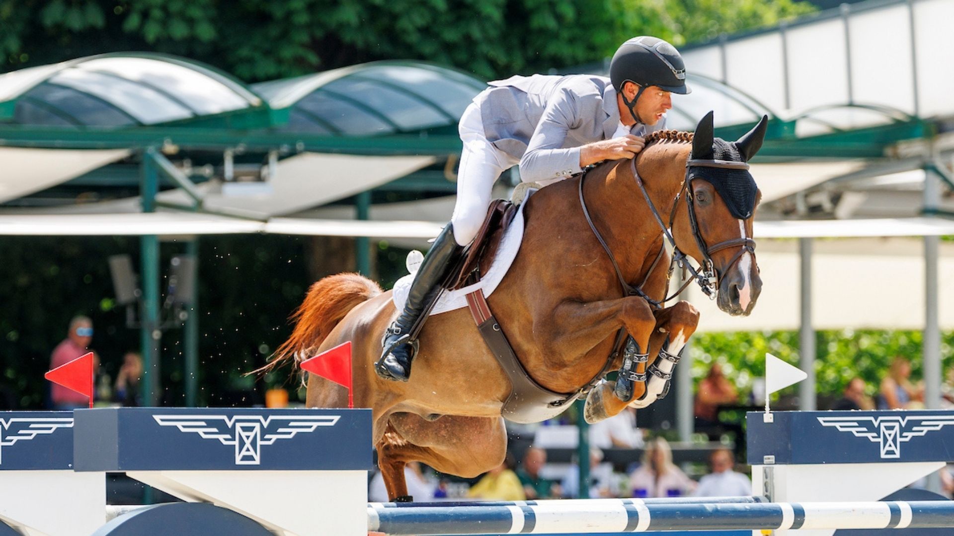 CSI5*-W Toronto, CSI4* Valencia und CSI3* Oliva, CDI5*-W Thermal: Wer startet wo in dieser Woche?