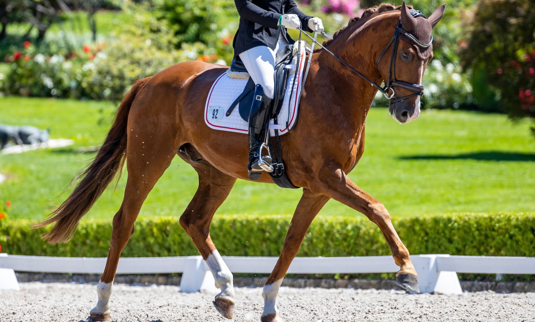 Nick Wagman Sets Sights on 2028 L.A. Olympics