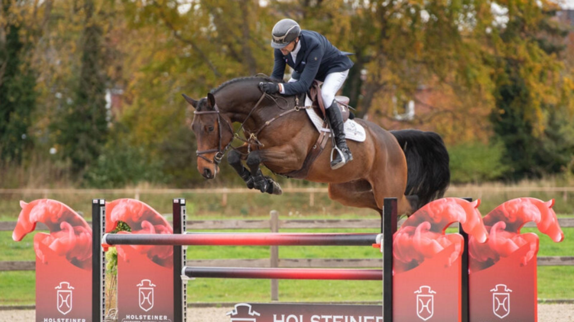 Chuck - 175.000 € für Preisspitze der Holsteiner Elite-Reitpferdeauktion 2025