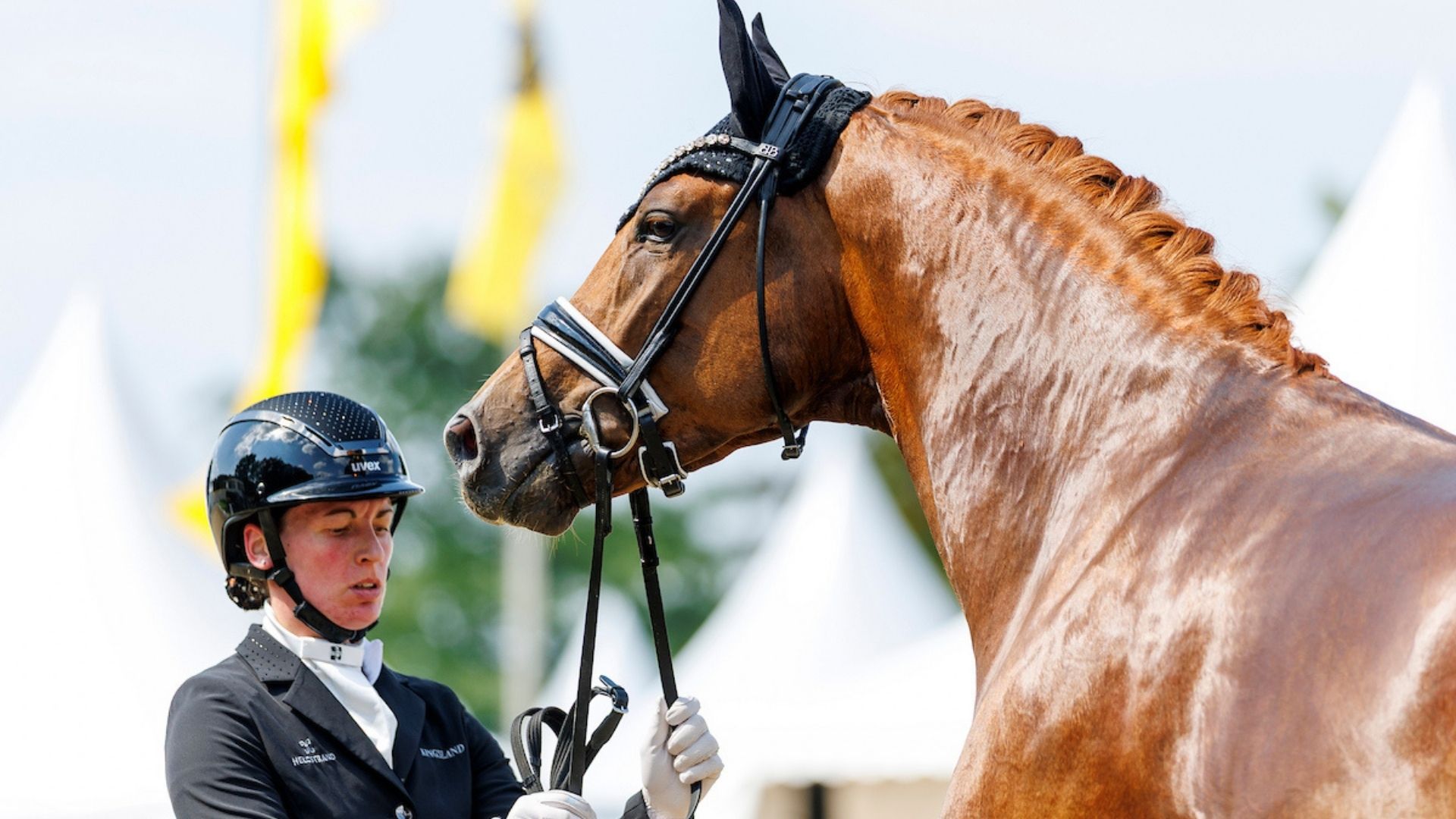 Daan G. gewinnt dänische Hengstleistungsprüfung