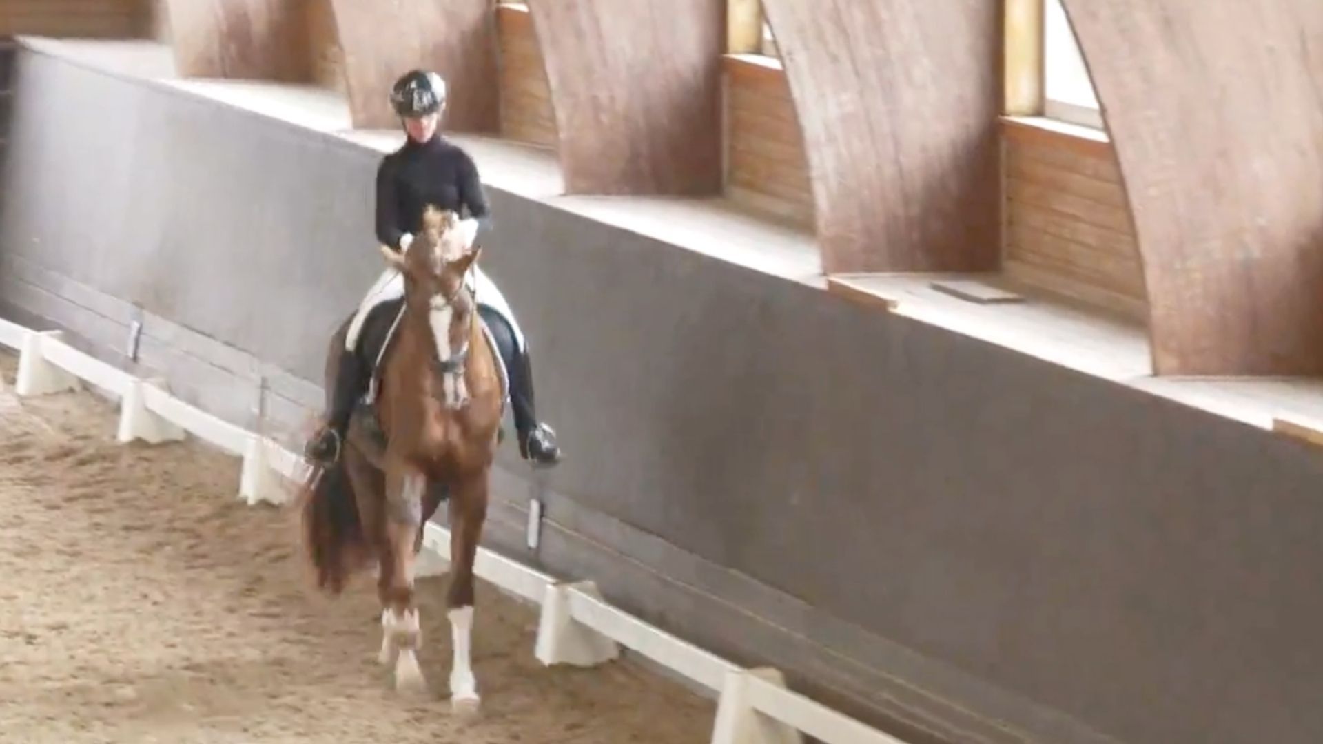 Donation PS gewinnt den 50-Tage Test der dressurbetonten Hengste in Adelheidsdorf!