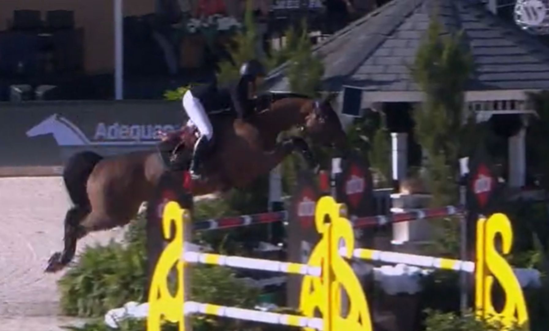 Nina Mallevaey and Destine To Be Take Top Honors