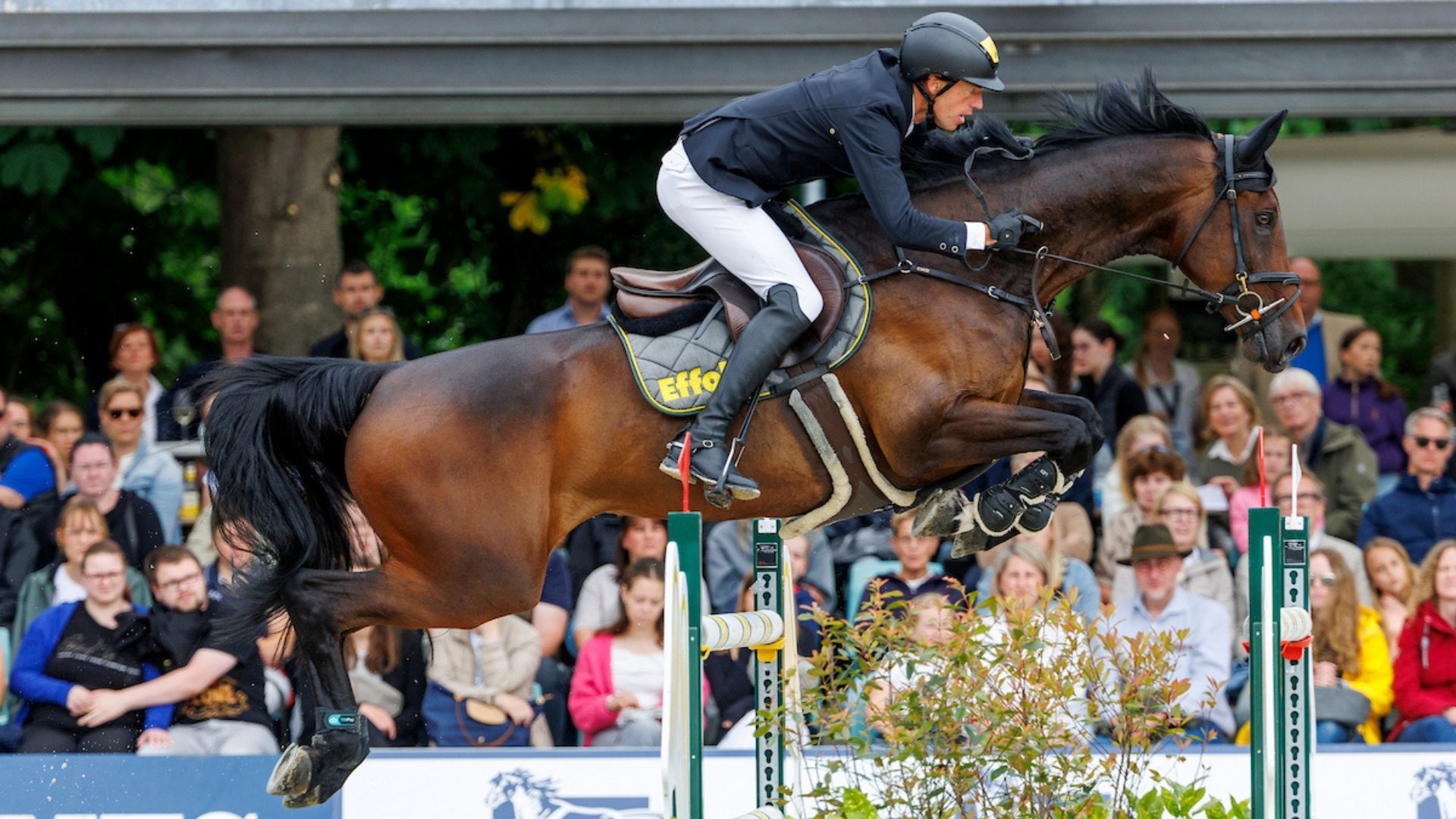 Harm Lahde und Oak Gorve'S Commander Bond siegreich beim CSI3* in Ommen