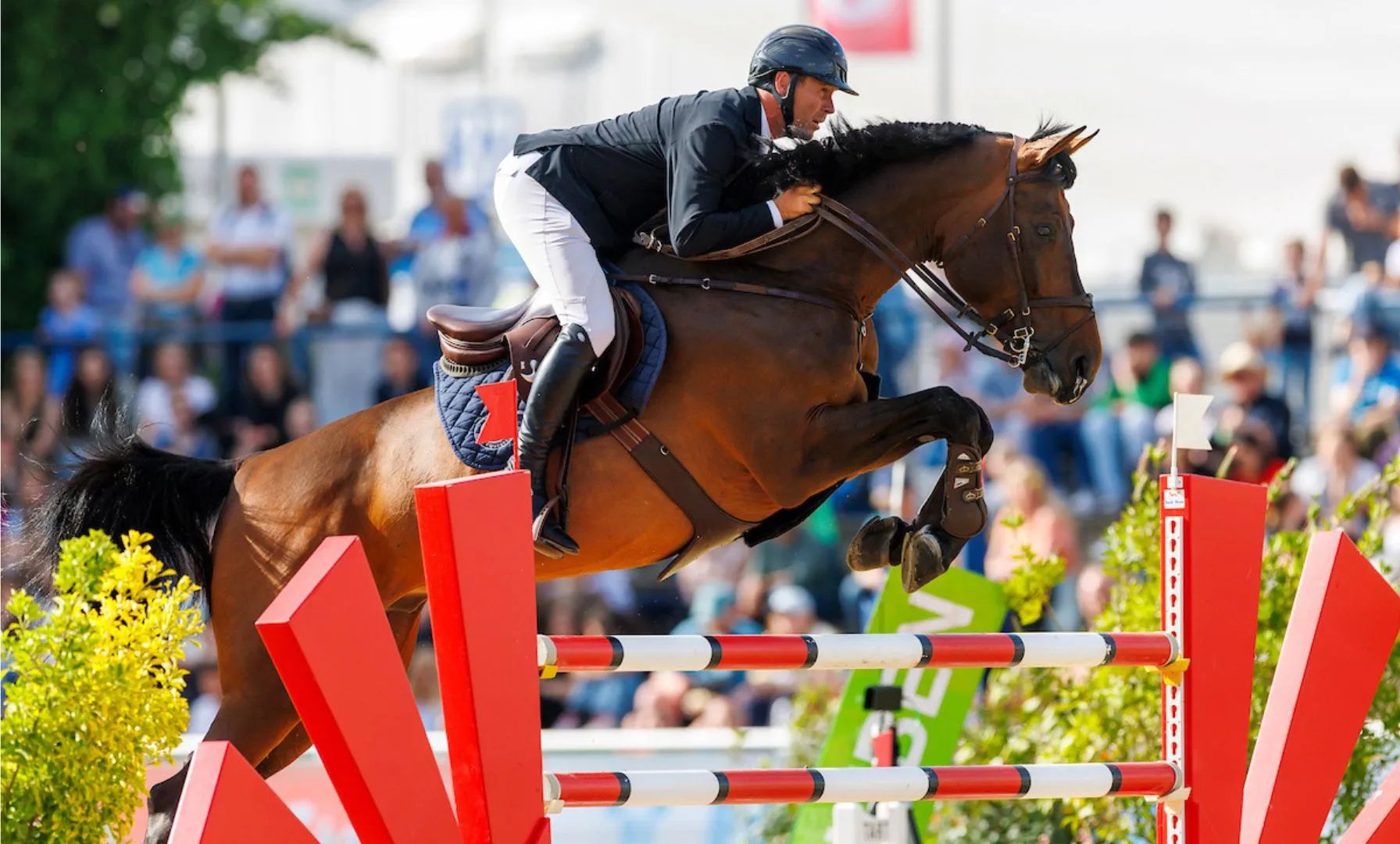 David Will siegt mit Xixo Borgia bei der DKB Pferdewoche 2025