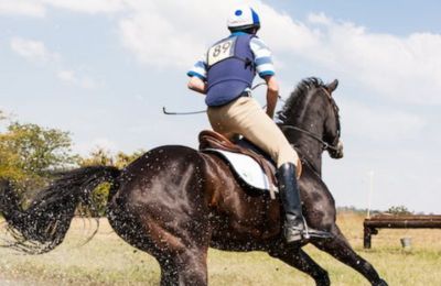 Toowoomba Showgrounds to Host Equestrian Events at Brisbane 2032 Olympics