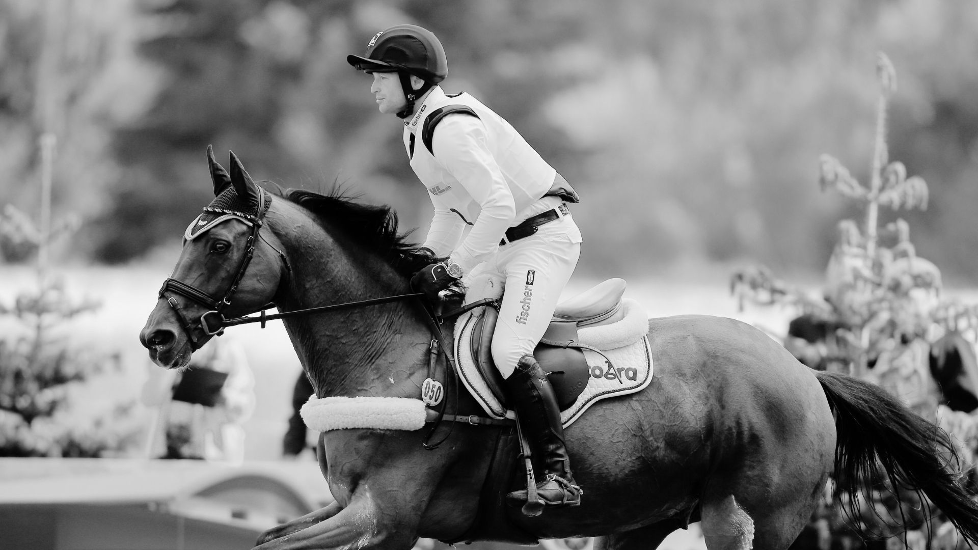 Michael Jungs Sam lebt nicht mehr