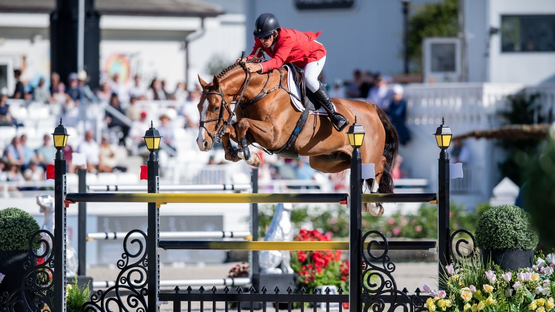 Show Jumping Teams Are Announced for Longines League of Nations™