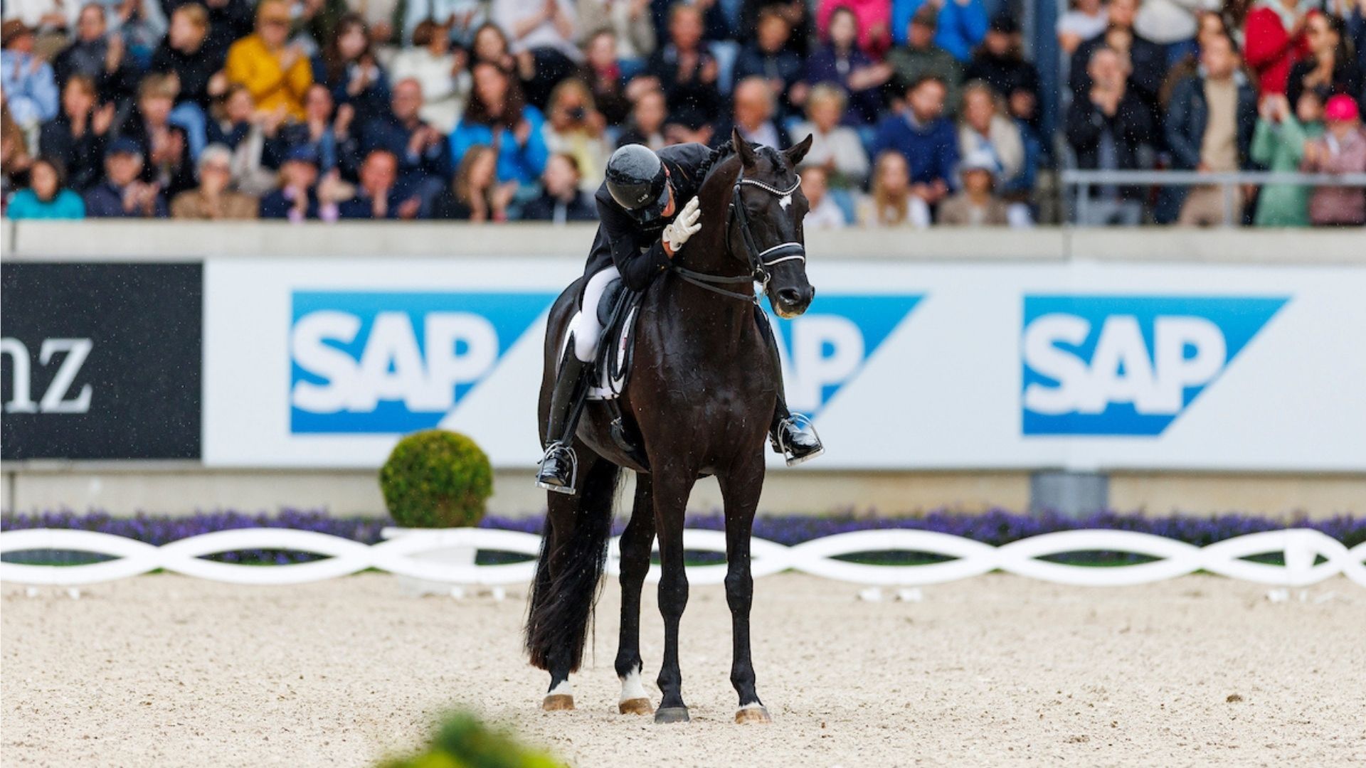 Justin Verboomen und sein 9-jähriger Zonik Plus gewinnen den Großen Dressurpreis von Aachen!