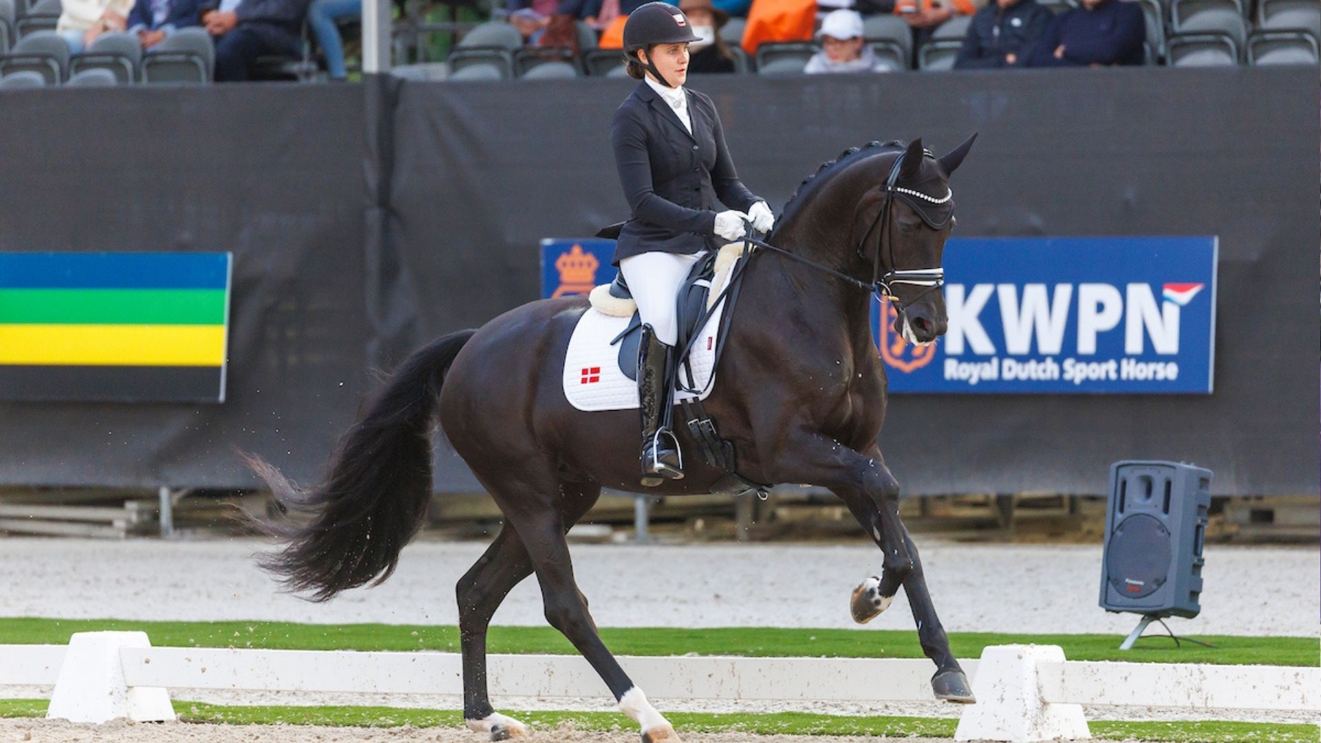 Lyngbjergs St. Paris wechselt zu Blue Hors