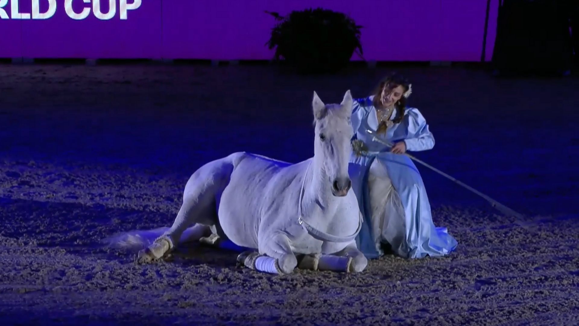 Alizée Froment verzaubert beim Jumping Mechelen