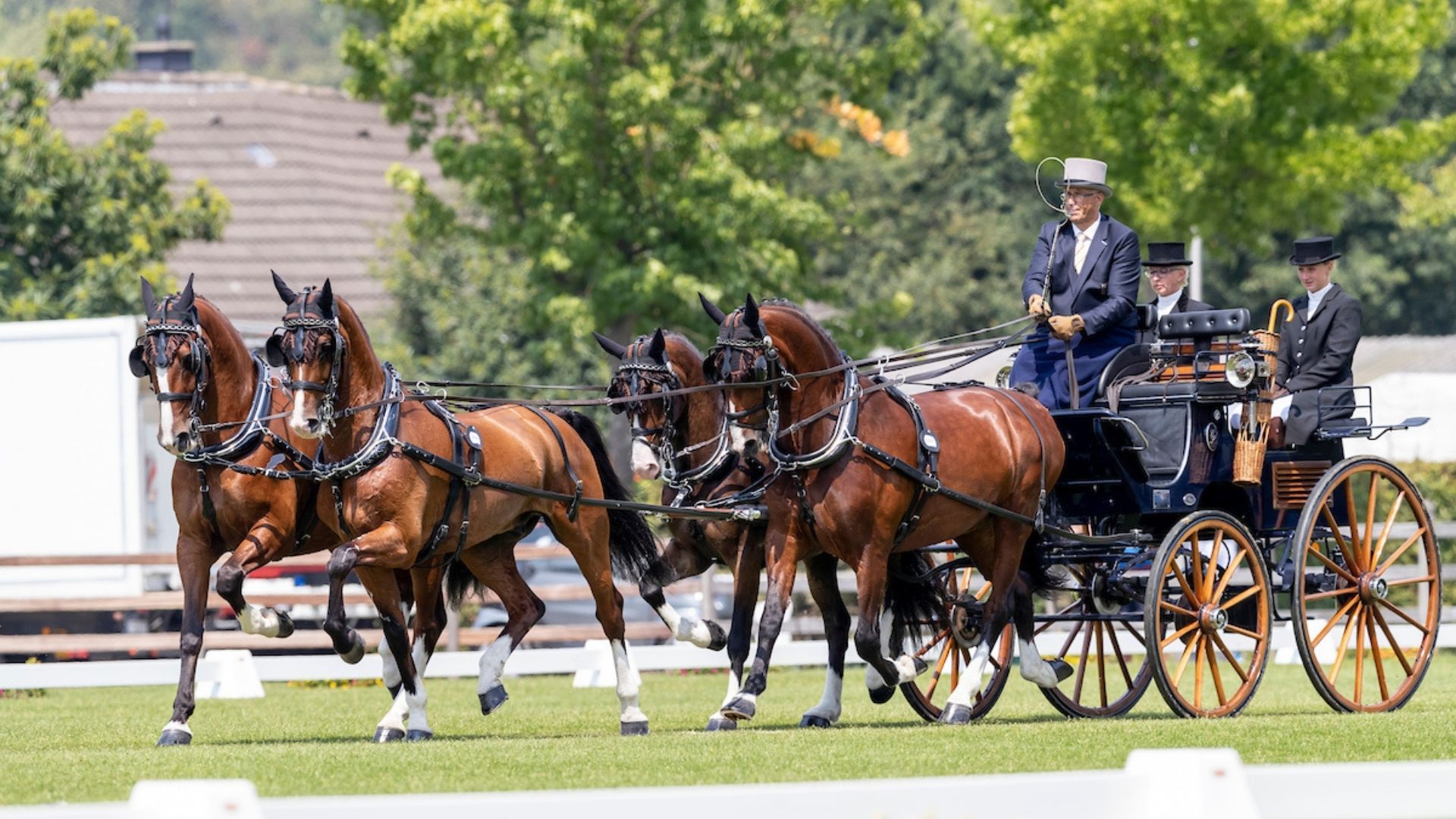 Fahrpferde-Bundeschampionat in Moritzburg