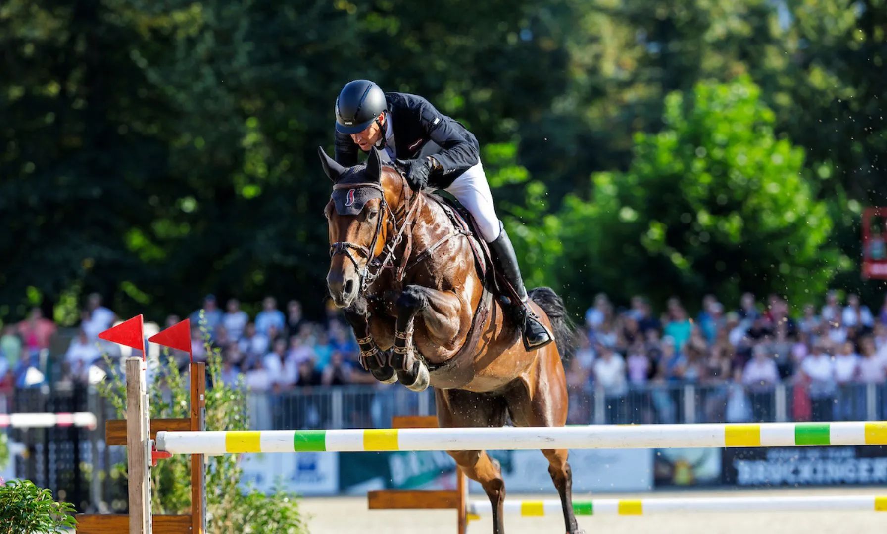 Marc Houtzager gewinnt Championat von Hohen Wieschendorf