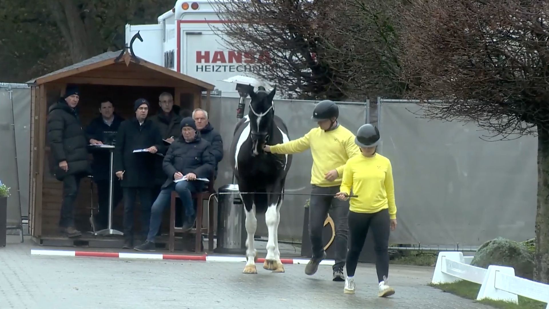 Hannoveraner Hengstkörung - der erste Eindruck beim Warm-Up Springen