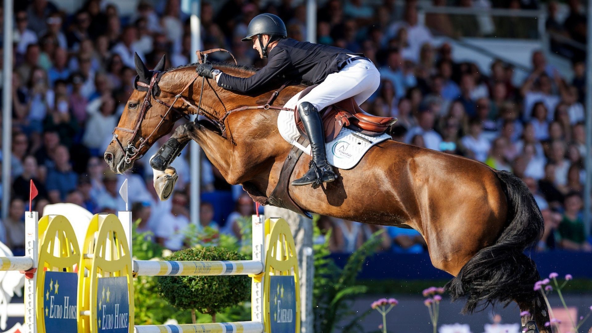 Gilles Thomas siegt in der Lugano Trophy