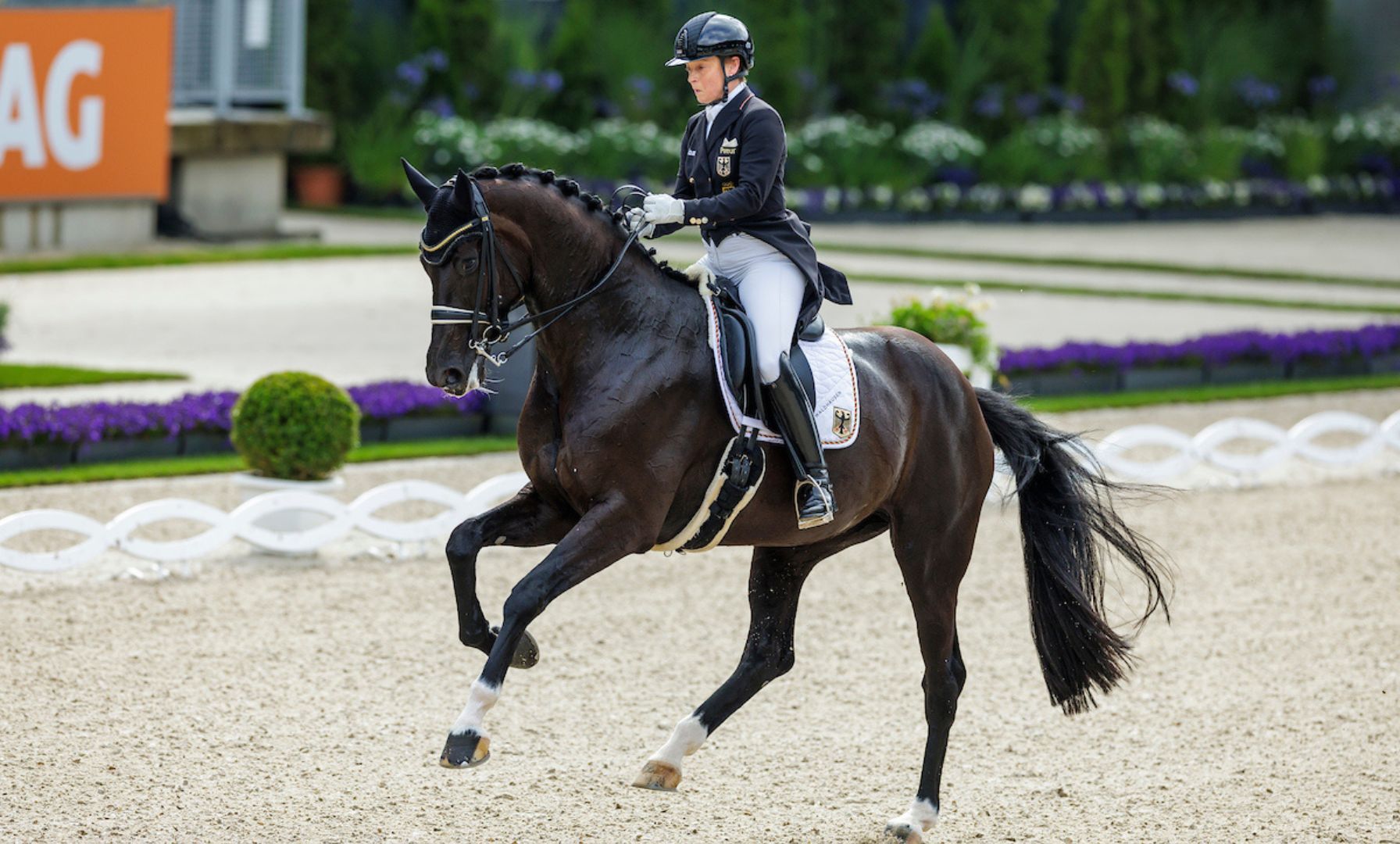 Isabell Werth und Wendy de Fontaine starten nicht in Mannheim