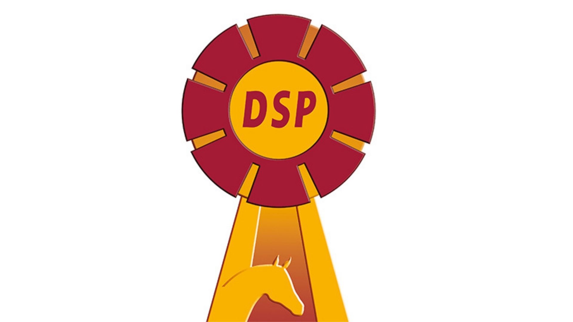 Erfolgreiche Vorauswahl für die DSP-Körung in München