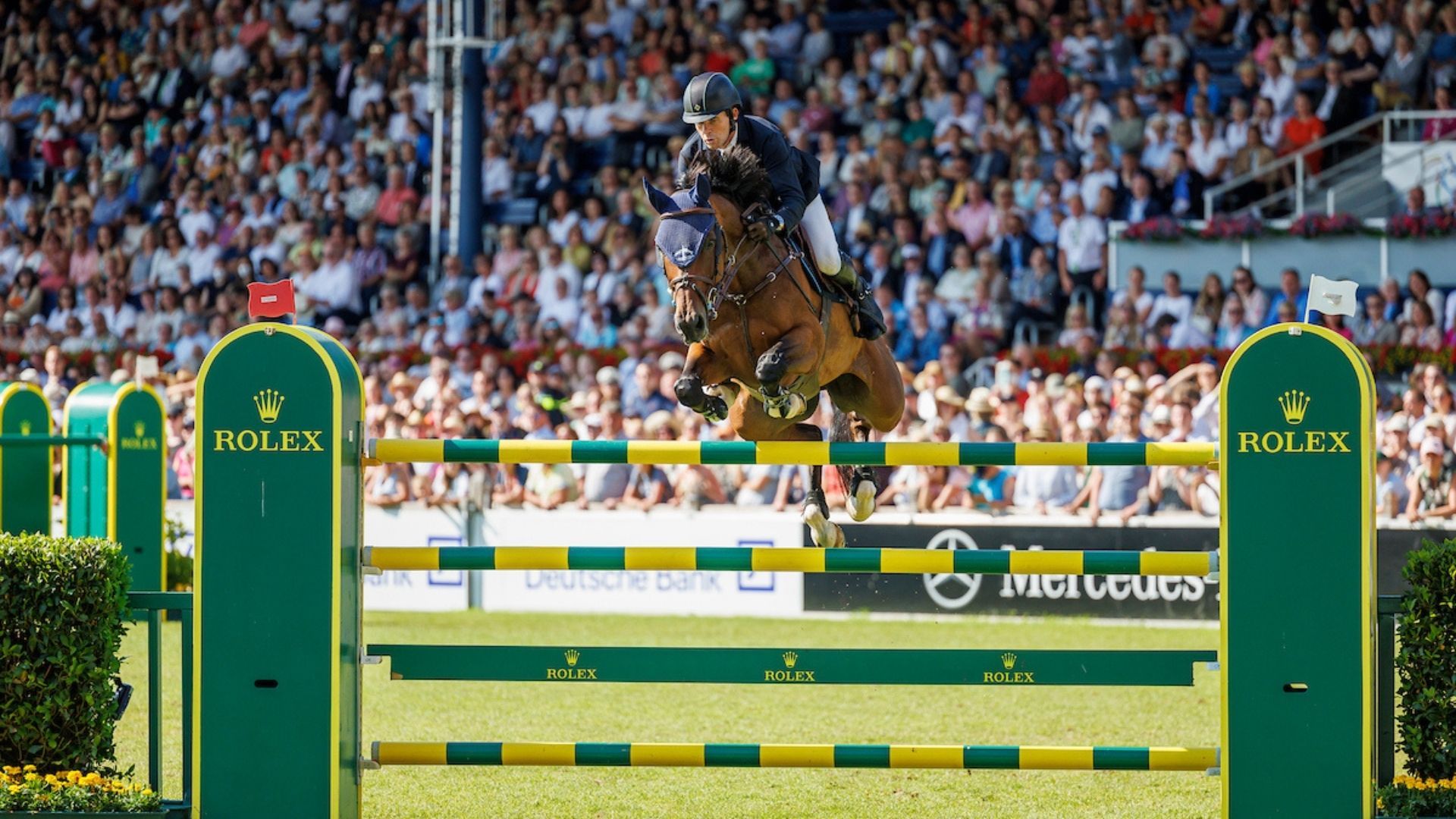 "The best horse I've ever ridden" - Conor Swail's Count Me In retires from the sport
