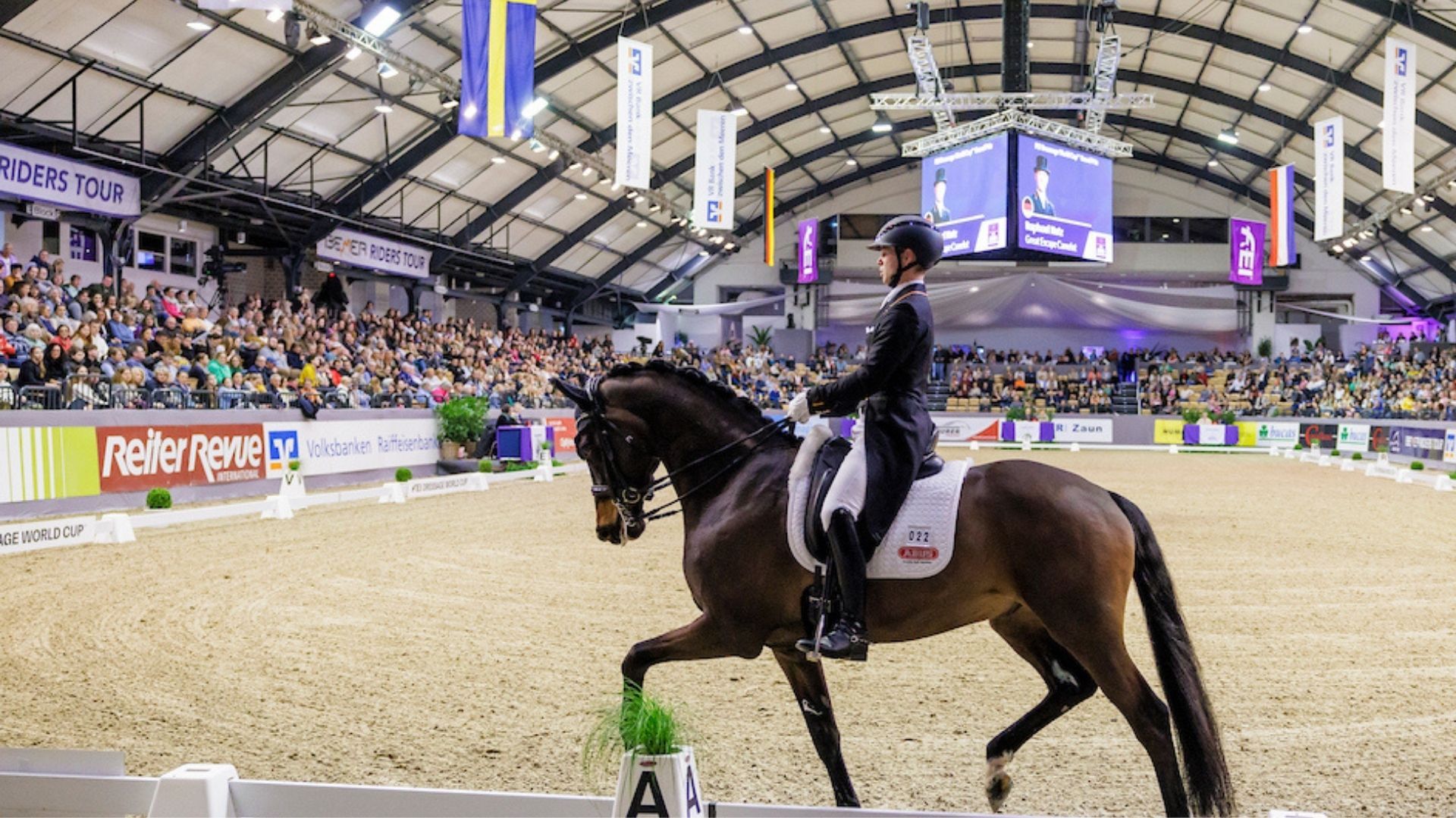 Neumünster, Abu Dhabi, Doha und Ocala: Wer startet wo in dieser Woche?