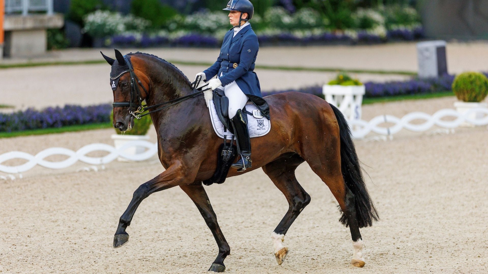 Anabel Balkenhol siegt im Grand Prix Special von Hagen
