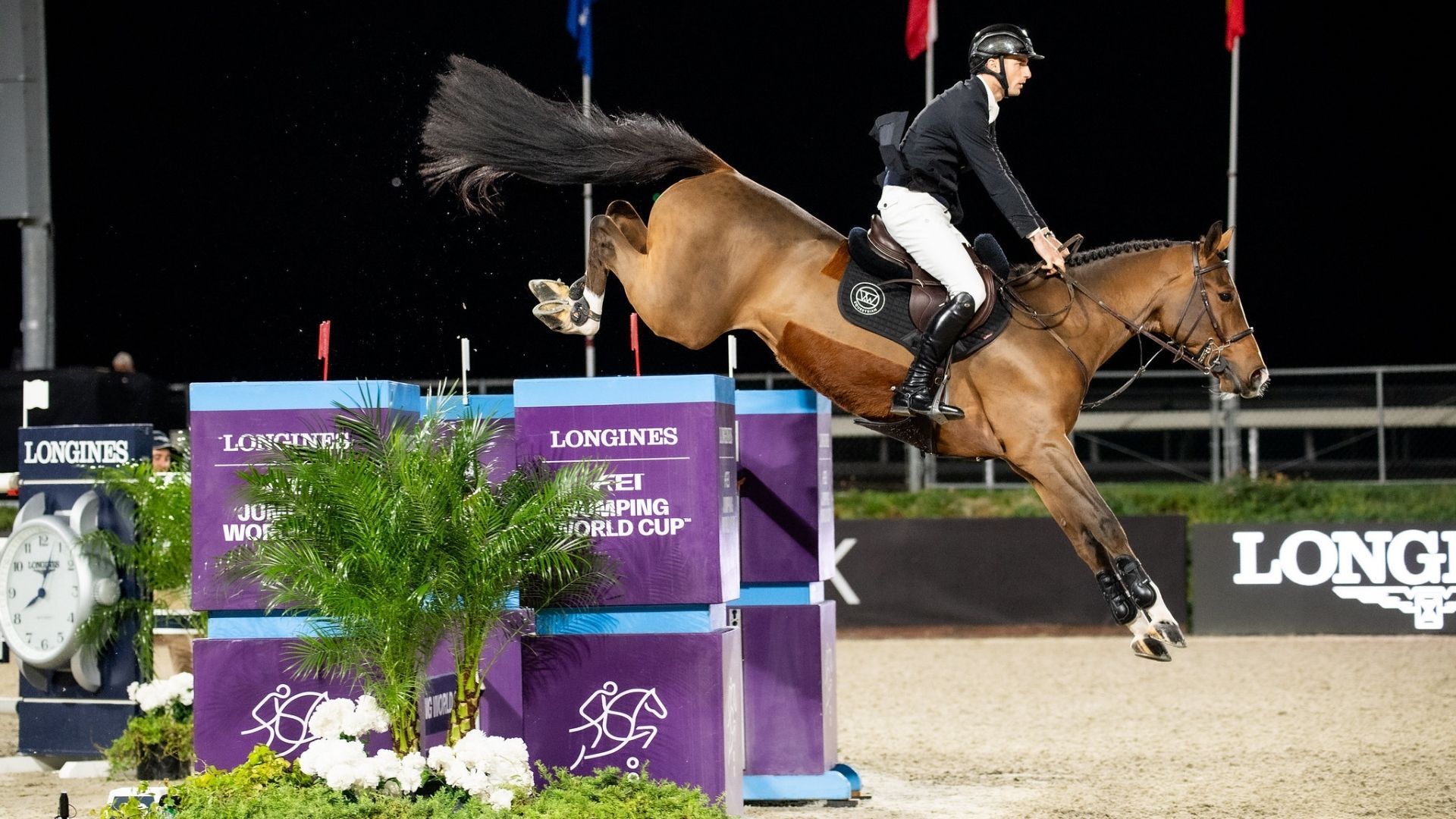 Richard Vogel und Gangster Montdesir starten mit einem Sieg in das Wellington-Wochenende